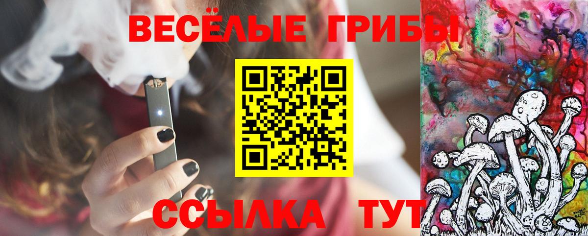 Галлюциногенные грибы Cubensis  Вход с VPN  Тутаев 